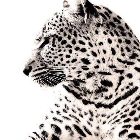 Meet your Posher, Troy - Picture 1 of 1